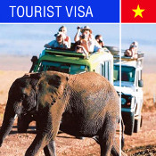 Vietnam Tourist Service
